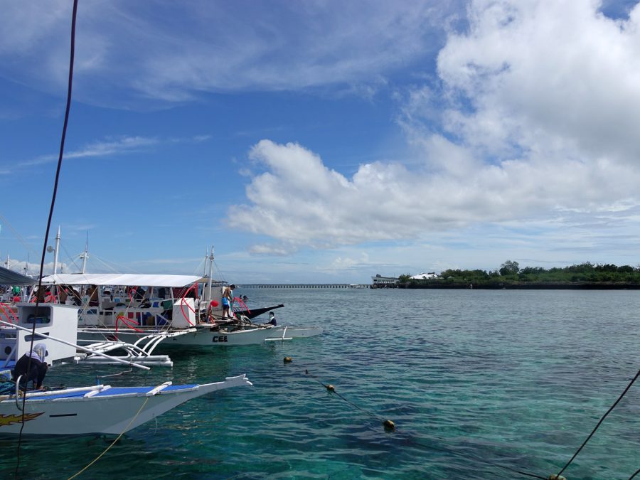 セブ・ヒルトゥガン島ダイビング Cebu,Hilutungan-island diving by Sony RX100m5